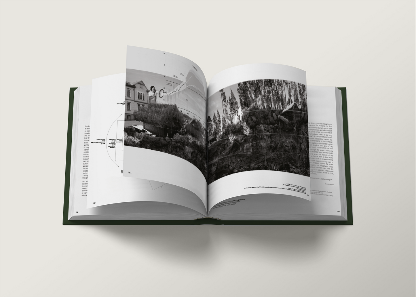 Bok: How Architecture Can Save the World from Global Climate Change